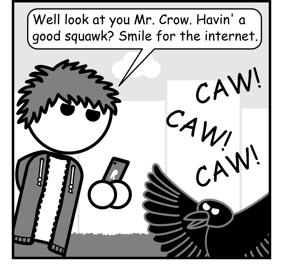 Panel 3